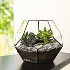 Pulovin 5 lbs Small Rocks for Plants, 1/5 Inch Pebbles for Indoor Plants - Image 6