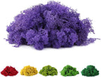 Fake Moss Preserved Reindeer Moss 3.5 OZ by DAZUINIAO