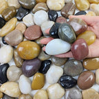 FANTIAN 20 lbs Decorative Pebbles by FANTIAN-GardeningMakesLifeBetter