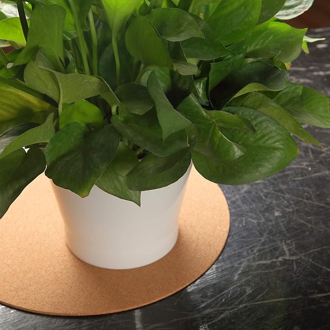 Boao 2 Pcs 12 Inch Large Cork Plant Coaster Round Cork Mat Trivet Absorbent - Image 4