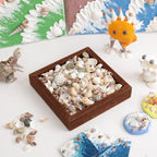 JSPYFITS 1200 PCS Sea Shells Small Mixed Beach Snail Seashells - Image 2