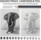 PANDAFLY Drawing Sketch Pencil Set, 16 Piece, 4H to 14B Graphite Pencils | - Image 2