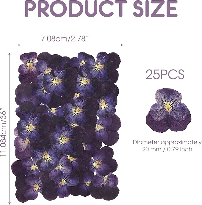 25PCS Dried Violet Flower, Natural Pressed Colorful Real Dry Petals Flowers - Image 2