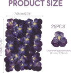 25PCS Dried Violet Flower, Natural Pressed Colorful Real Dry Petals Flowers - Image 2