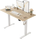 Agilestic Electric Standing Desk, 48 x 24 Inches Height Adjustable Desk by Agilestic