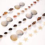 PPCLION 50pcs Tiny Strarfish&2000Pcs Tiny Mini Small Clam Sea Shells - Image 7