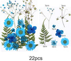 Woohome 78PCS Natural Dried Pressed Flowers and Natural Dried Pressed Leaves - Image 6