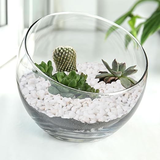 Pulovin 2.5 lbs White Aquarium Gravel, 1/5 Inch White Rocks - Image 6
