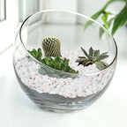 Pulovin 2.5 lbs White Aquarium Gravel, 1/5 Inch White Rocks - Image 6