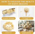 6500+ Mini Dried Baby's Breath Flowers, Wedding Wreath, Card Making, Home Decor - Image 6