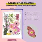 A4 Large Dried Pressed Flowers for Resin Real Dry Natural Flowers Leaves for - Image 2