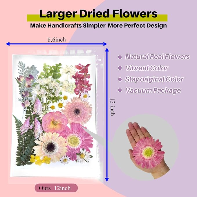 A4 Large Dried Pressed Flowers for Resin Real Dry Natural Flowers Leaves for - Image 2
