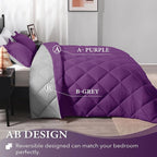 downluxe Twin Comforter Set - Image 4