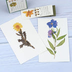 160pcs Pre-Cut Scrapbooks Natural Stickers, Floral and Plant Sticker - Image 5