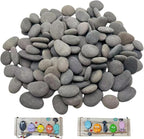 CYLHCM 100PCS Tiny Painting Rocks, DIY Pebble by Unknown