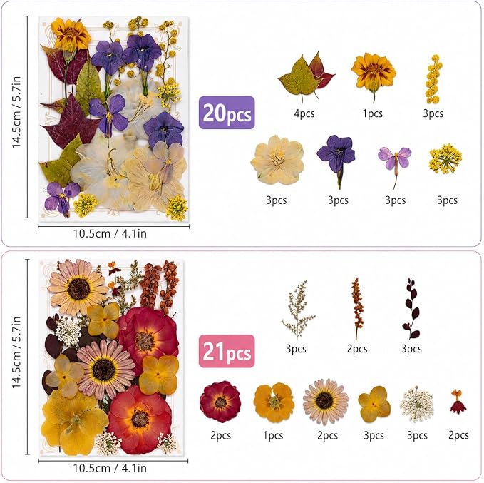 163 pcs Dried Flowers for Resin, Natural Flowers and Leaves Kit - Image 3