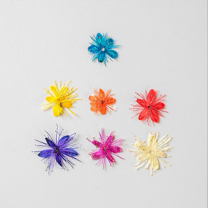 84 Pcs Dried Pressed Flowers for Crafts Resin Art DIY Natural Dry Sandalwood - Image 3