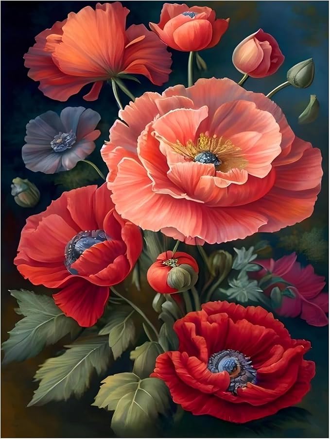 Paint by Numbers Kit for Adults, Poppy Paint by Numbers, Flowers Crafts for by MANDUN