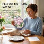 Birthday Gifts for Women - Image 5