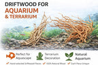 Azil Natural Aquarium Driftwood Root – Driftwood - Image 4