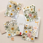 140PCS White Dried Pressed Flowers - Image 2