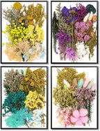 Vignee Real Dried Pressed Leaf Flowers-Multiple Colorful Pressed Flowers Daisies - Image 6