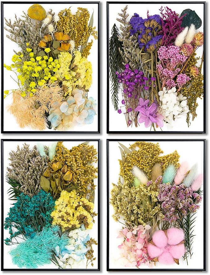 Vignee Real Dried Pressed Leaf Flowers-Multiple Colorful Pressed Flowers Daisies - Image 6