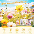 124 Pcs Dried Pressed Flowers for Resin Crafts, Real Pressed Wildflowers - Image 4