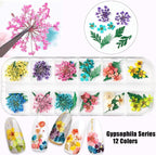 2 Boxes 3D Real Dried Flowers for Nail Art Colorful Mini Natural Gypsophila | - Image 3