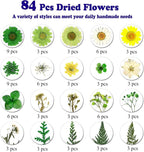 84 Pcs Green Dried Pressed Flowers Real Natural Leave - Image 4