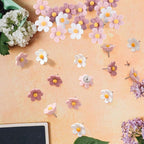 30PCS Cute Push Pins, Bulletin Board Pins, Bulletin Board Decorations, Flower - Image 5