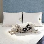 Serta Hotel Collection Bed Pillows King Size Set of 2, 400 Thread Count 100% - Image 8