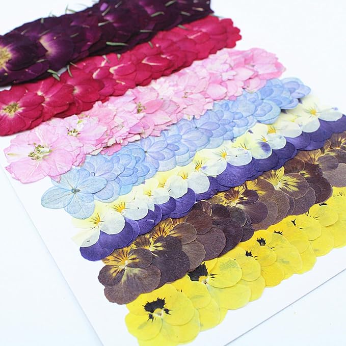 49 Pcs Dried Pressed Flowers for Crafts Art Resin DIY Natural Dry Pansy Rose - Image 4