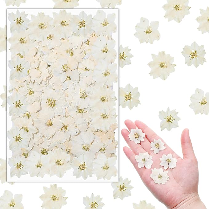 Woanger 100 pcs Dried Pressed Flowers Small Dry Flowers Real Natural Resin by Woanger