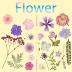 50Pcs Dried Pressed Flowers Resin Mould Real Pressed Flowers Natural Dry Leaves - Image 3