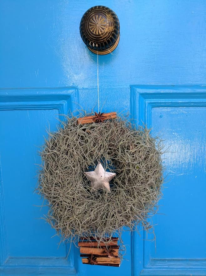 Mosser Lee ML0560 Spanish Moss, 250 Cubic Inches - Image 7
