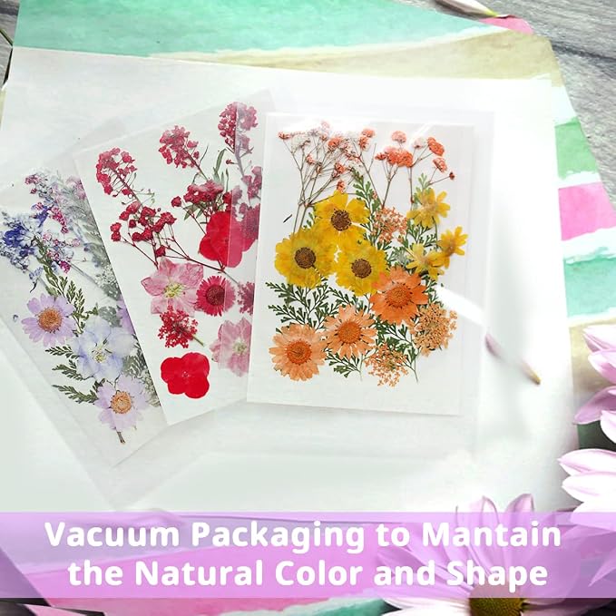 54 Pcs Real Dried Pressed Flowers and Leaves Natural Dried Petals Greenery - Image 5
