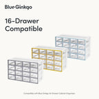 BLUE GINKGO 16 Dividers - Image 3