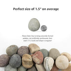 40 LBS Natural Pebbles - Image 2