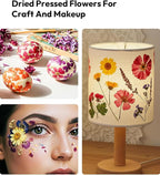 Dried Flowers, Resiners 100Pcs Pressed Flowers - Image 8