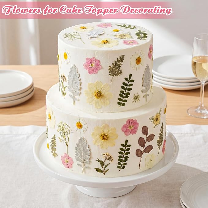 96 Pcs Natural Dried Pressed Flowers - Image 2
