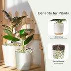Pulovin 10 lbs Jade Pebbles for Indoor Plants, Decorative Pebbles for Bamboo - Image 3