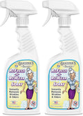 Grandma's Secret Refresh N ReWear Spray - Instantly Removes Wrinkles & Odors - Wrinkle Release, Fabric Refresher Spray, Chlorine, Bleach and Toxin-Free - 16 Ounce, 2 Pack