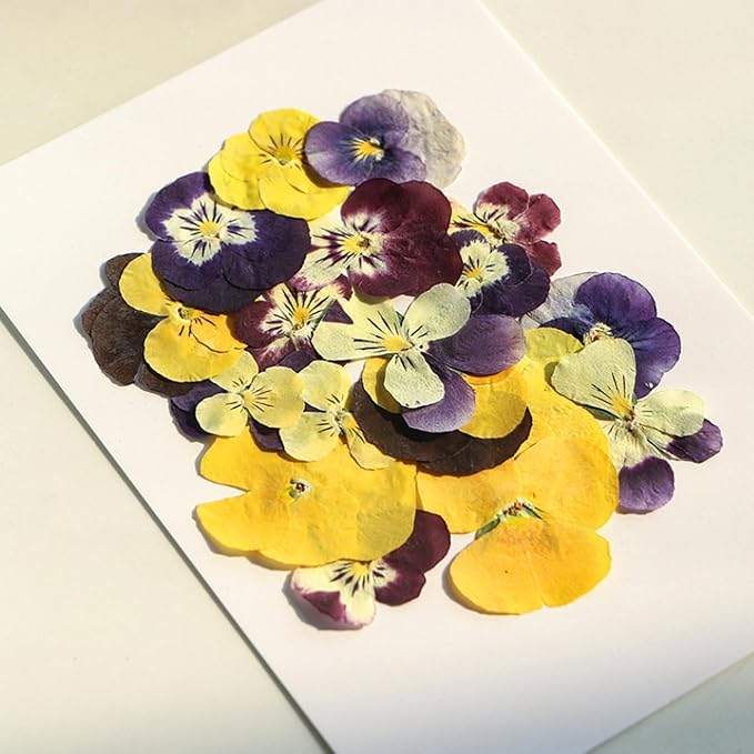 54 Pcs Dried Pressed Flowers for Resin DIY Art Crafts Natural Dry Floral Epoxy - Image 3