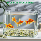 5 lb Jade Pebbles for Indoor Plants, 3/8 Inch Polished Decorative Pebbles for - Image 5