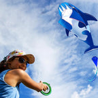 HENGDA KITE 3D Kite for Kids and Adults, Excellent Fabric and Structure - Image 2