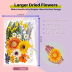 A4 Large Dried Pressed Flowers for Resin Real Dry Natural Flowers Leaves for - Image 2