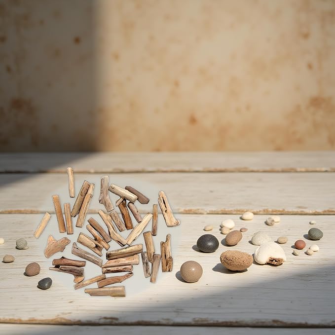 20 Pcs Natural Driftwood Pieces Branch Slices Craft Sticks Beach Decor - Image 5