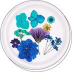 30Pcs Dried Pressed Flowers for Resin DIY Art Crafts Natural Dry Leaves Daisy - Image 3