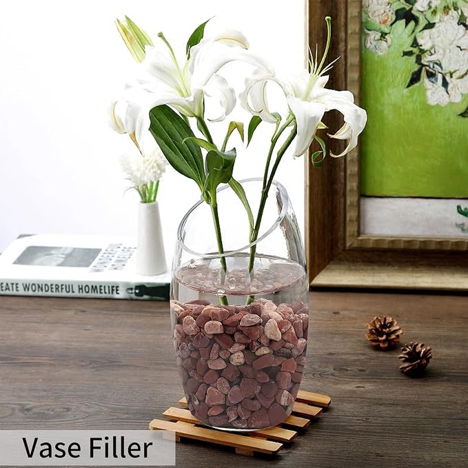FANTIAN 2 lbs Succulent and Cactus Pebbles Gravel, 3/8 Inch Decorative Red - Image 5